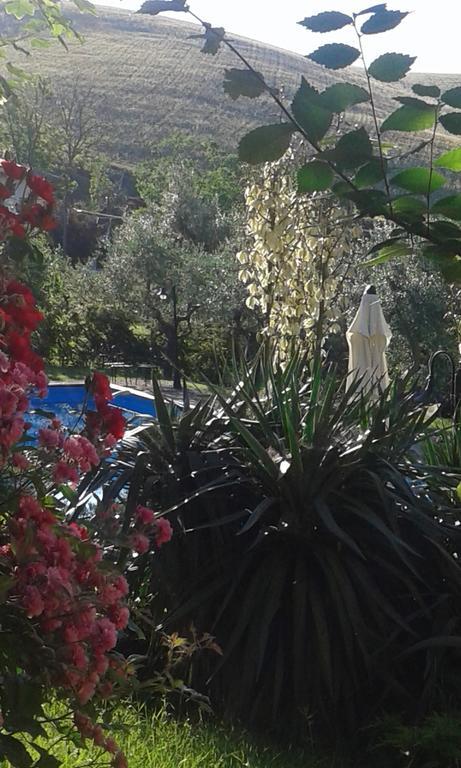몬테벨로디베르토나 Agriturismo La Solagna 빌라 외부 사진