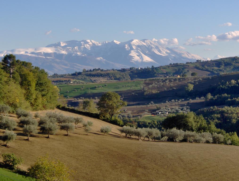 몬테벨로디베르토나 Agriturismo La Solagna 빌라 외부 사진
