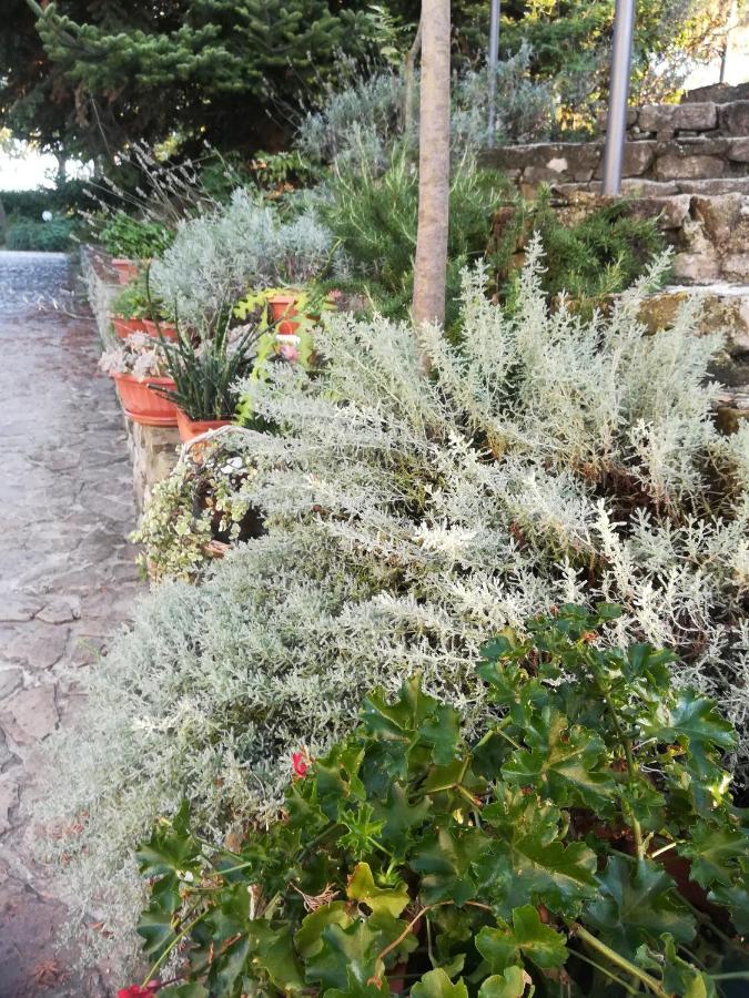 몬테벨로디베르토나 Agriturismo La Solagna 빌라 외부 사진